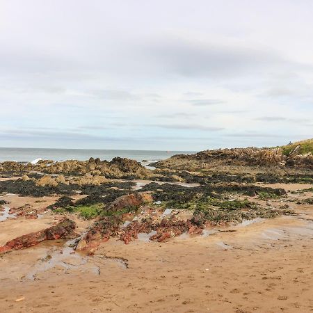Meadow Lodge Coldingham ภายนอก รูปภาพ