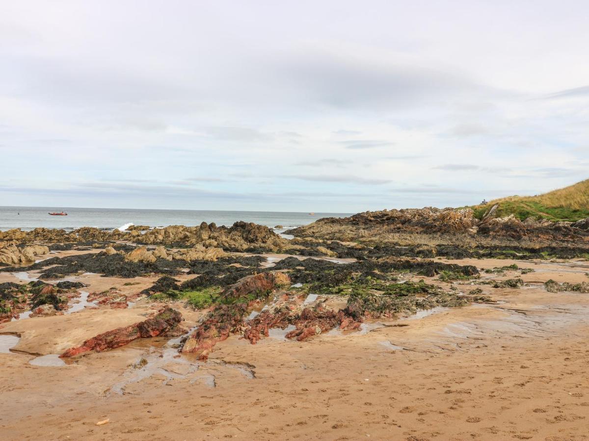 Meadow Lodge Coldingham ภายนอก รูปภาพ