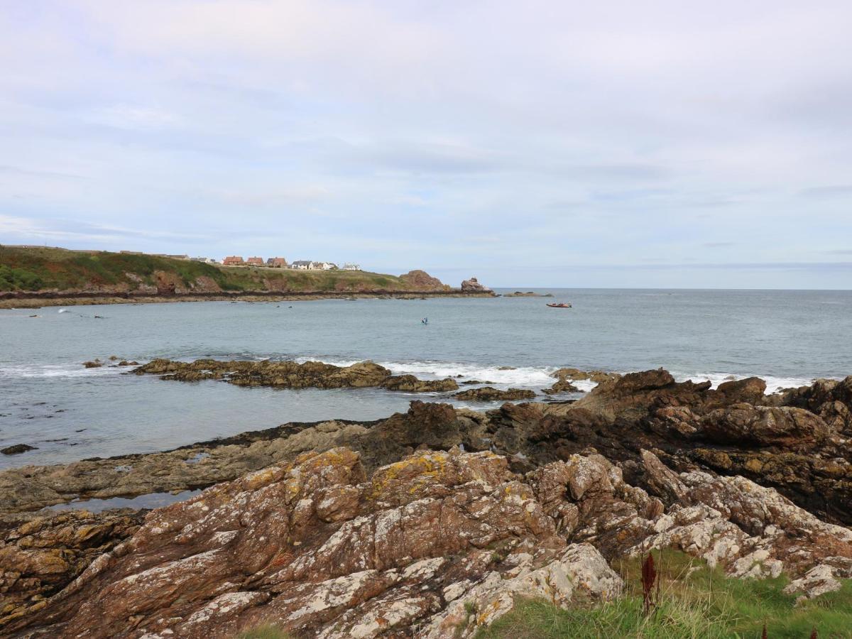 Meadow Lodge Coldingham ภายนอก รูปภาพ